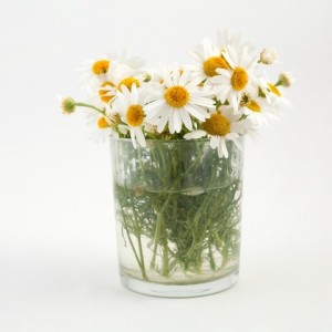hand-picked-flowers-cups--large-msg-135437706424